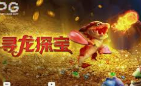 pg赚钱网站最新版