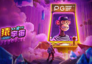 pg赚钱网站桌面版客户端